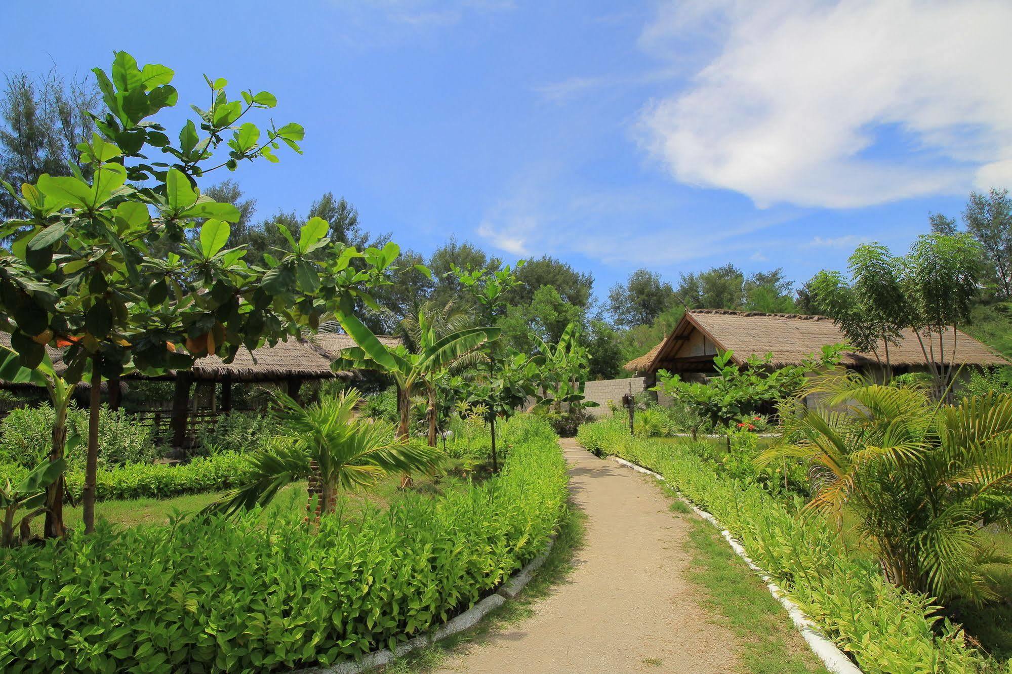 Adeng-Adeng Bungalows Gili Meno Luaran gambar
